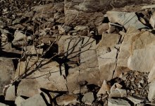 До 1 500 выросло число жертв землетрясения в Афганистане