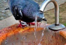 Очень сильная жара ожидается в Казахстане 24 июня