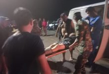 Сель сошел в Жамбылской области: пострадал скот (ВИДЕО)