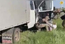 Вооруженная банда скотокрадов обезврежена в Костанайской области (ВИДЕО)