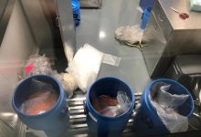 Контрабандный канал ввоза лекарств в Казахстан обнаружил КНБ