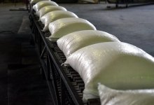 Когда в Павлодаре все-таки построят сахарный завод, рассказал Скаков