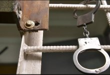 Ветврачу грозит 19 лет тюрьмы за организацию наркокартеля в Костанайской области