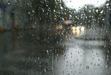 Прохладную погоду обещают казахстанцам на начало июля