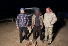 Редких животных на 13 млн тенге отстрелил браконьер в ВКО