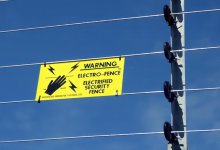 Мальчик попал в реанимацию после игры в одном из скверов Алматы