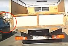 Живодер выбросил котенка на оживленную проезжую часть в Мангистау (ВИДЕО)