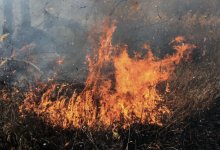 Степной пожар разгорелся в трех районах Павлодарской области