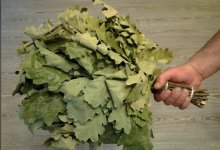 За заготовку банных веников на 1,2 млн тенге оштрафовали жителей ЗКО