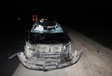 Водитель погиб при столкновении авто с лошадью на трассе в Актюбинской области