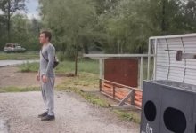 Третья остановка рухнула во время грозы в Усть-Каменогорске