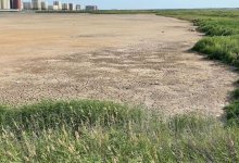 Экопарк на озере Малый Талдыколь в Нур-Султане начнут строить осенью