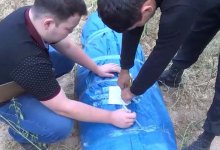 С полутонной конопли задержали жителя Жамбылской области