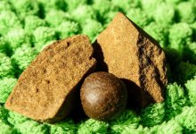 Гашиш на сумму более 16 млн тенге изъяли у преступной группы в Нур-Султане