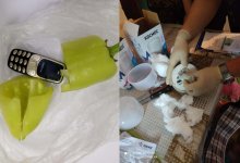 Мобильник, спрятанный в перце, и наркотики в лампочке пытались передать заключенным в Павлодаре