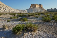 В мангистауских заповедниках будут пасти скот