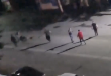 Драка нескольких человек помешала движению машин в Павлодаре