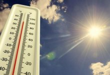 На севере Казахстана прогнозируют 35-градусную жару