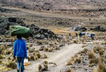 В Африке от неизвестной болезни погибли три человека