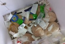 Боксы для пожертвований животным в Актау люди превратили в мусорки