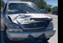 Казахстанского тренера сбили насмерть на Иссык-Куле