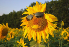 Какая погода будет в начале рабочей недели в Казахстане?