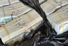 Более 8 млн долларов не допустили к вывозу из Казахстана