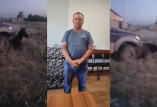 Сжечь дом мужчины, переехавшего лошадь в Междуреченске, грозились сельчане