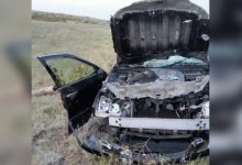 Жуткое смертельное ДТП с лошадьми произошло в ВКО