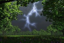 Дожди и грозы ожидаются в Казахстане 21 июля