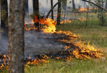 Жара и гроза: в девяти регионах РК объявили штормовое предупреждение