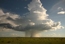 Осадки ожидаются почти на всей территории Казахстана. На юге – сильная жара
