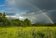 На западе – грозы, на юге – пыльная буря, на востоке – ясная погода ожидаются в Казахстане