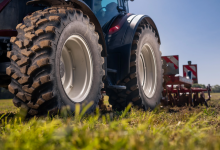 Под колесами прицепа трактора погиб шестилетний малыш в Жетысу