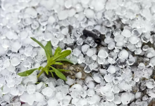 Град и грозы: синоптики предупредили о шторме в девяти регионах Казахстана