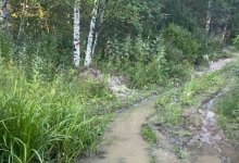 Мертвым нашли в лесу мужчину, которого искали несколько дней в Риддере