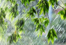 Сильные дожди и знойная жара ожидаются в Казахстане