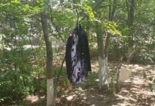 Полицейскую форму, висящую на дереве, обнаружили в Актау