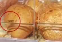 Тараканов засняли в супермаркете в Актау