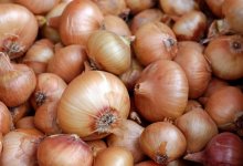 Подорожание лука: предельные цены вводят в Костанайской области