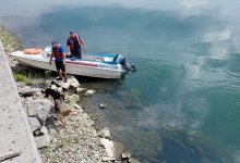 Четырех собак вызволили из ловушки на реке спасатели ВКО