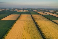 Нужен жесточайший контроль: общественник высказался о распределении изъятых неиспользуемых земель в РК