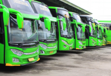 Водитель из Узбекистана без документов управлял городским автобусом в Алматы