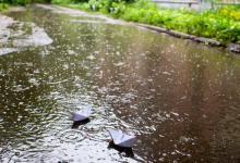 Казахстанцев ждут дождливые выходные