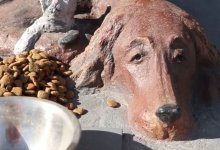 Трогательный памятник животным появился в Шымкенте