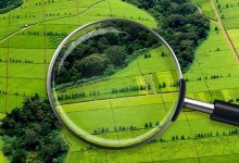 "Отсутствие земли - одна из причин январских событий": общественник рассказал о работе "Жер аманаты"