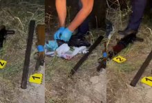 Схрон с оружием и боеприпасами обнаружили на кладбище в Таразе