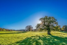 Погода без осадков установится на большей части РК