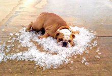 Как жара влияет на психику человека, рассказал врач