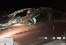 Люди травмированы, машина вдребезги, животные погибли – ДТП в Туркестанской области